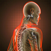 Watch Scenarios Inc (Holo Haven) (Short 2016)