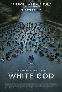 Watch White God