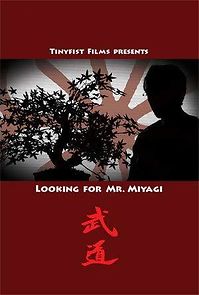 Watch Looking for Mr. Miyagi