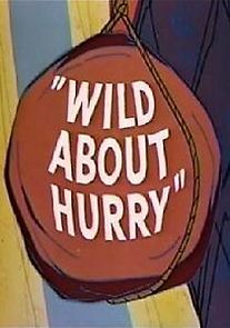 Watch Wild About Hurry
