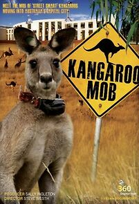 Watch Kangaroo Mob