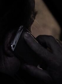 Watch The Expert by Arthur Lang (Short 2014)