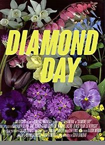 Watch Diamond Day