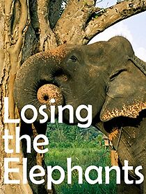 Watch Losing the Elephants