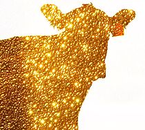 Watch Bite to the Future