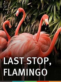Watch Last Stop, Flamingo