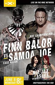 Watch NXT TakeOver: The End