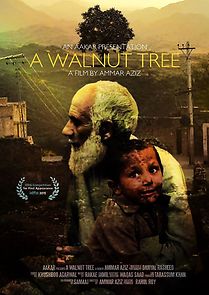Watch A Walnut Tree