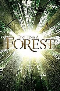 Watch Il était une forêt