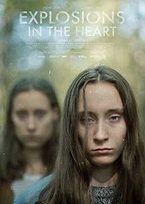 Watch Explosions in the Heart