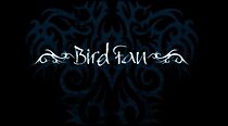 Watch Bird Fan