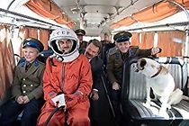 Watch Lajko: Cigány az ürben