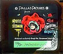 Watch The American Beauty