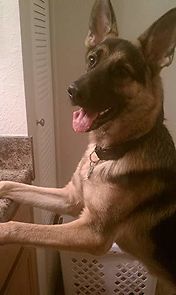 Watch Nick and Maggie: Story Trilogy