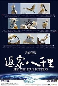 Watch Bird Without Borders