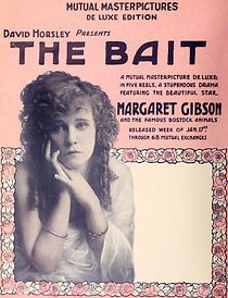 Watch The Bait