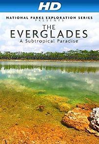 Watch National Parks Exploration Series: The Everglades - A Subtropical Paradise