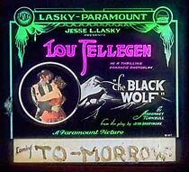 Watch The Black Wolf