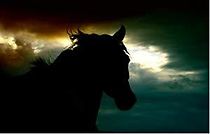 Watch The Judas Horse