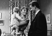 Watch Vielgeliebtes Sternchen