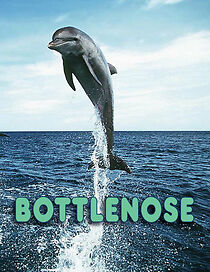 Watch Bottlenose (Short 2013)