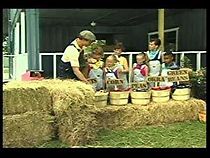 Watch The Donut Repair Club