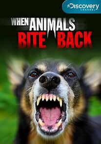 Watch When Animals Bite Back