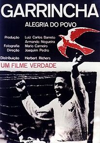 Watch Garrincha - Alegria do Povo