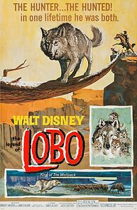Watch The Legend of Lobo