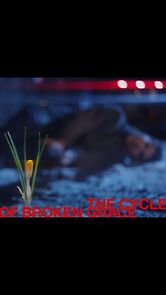 Watch The Cycle of Broken Grace (Short 2013)