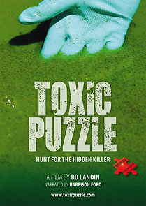 Watch Toxic Puzzle