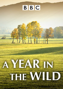 Watch A Year in the Wild