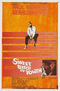 Watch Sweet Bird of Youth