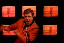 Watch Talking Heads: Wild Wild Life