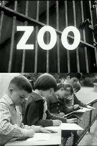 Watch Zoo