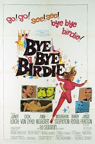 Watch Bye Bye Birdie