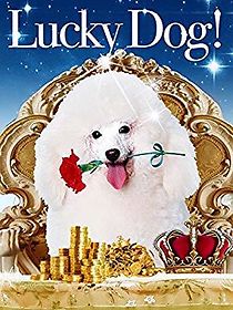Watch Lucky Dog