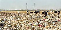 Watch Beijing Besieged by Waste