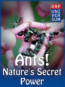 Watch Ants: Nature's Secret Power