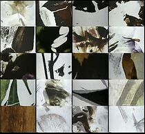 Watch Mothlight (Short 1963)