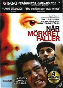 Watch When Darkness Falls