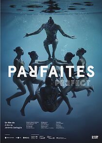 Watch Perfect