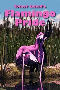 Watch Flamingo Pride