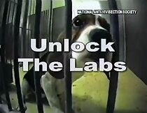 Watch Unlock the Labs (Short 1999)