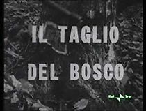 Watch Il taglio del bosco