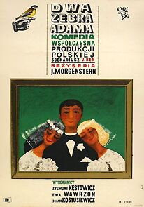 Watch Dwa zebra Adama