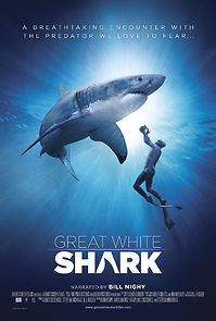 Watch Great White Shark