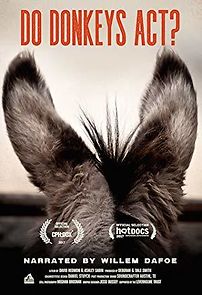 Watch Do Donkeys Act?