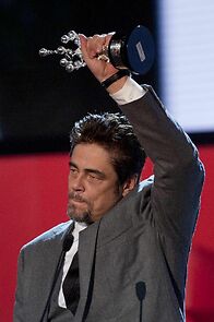 Watch Premio Donostia a Benicio del Toro (TV Special 2014)