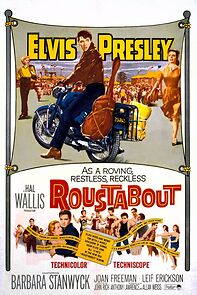 Watch Roustabout